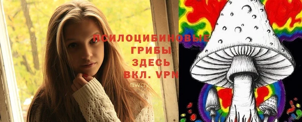 мдма Богданович