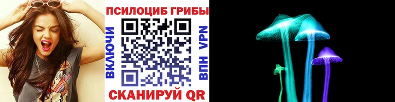 Галлюциногенные грибы Psilocybine cubensis  Купить  Асбест 